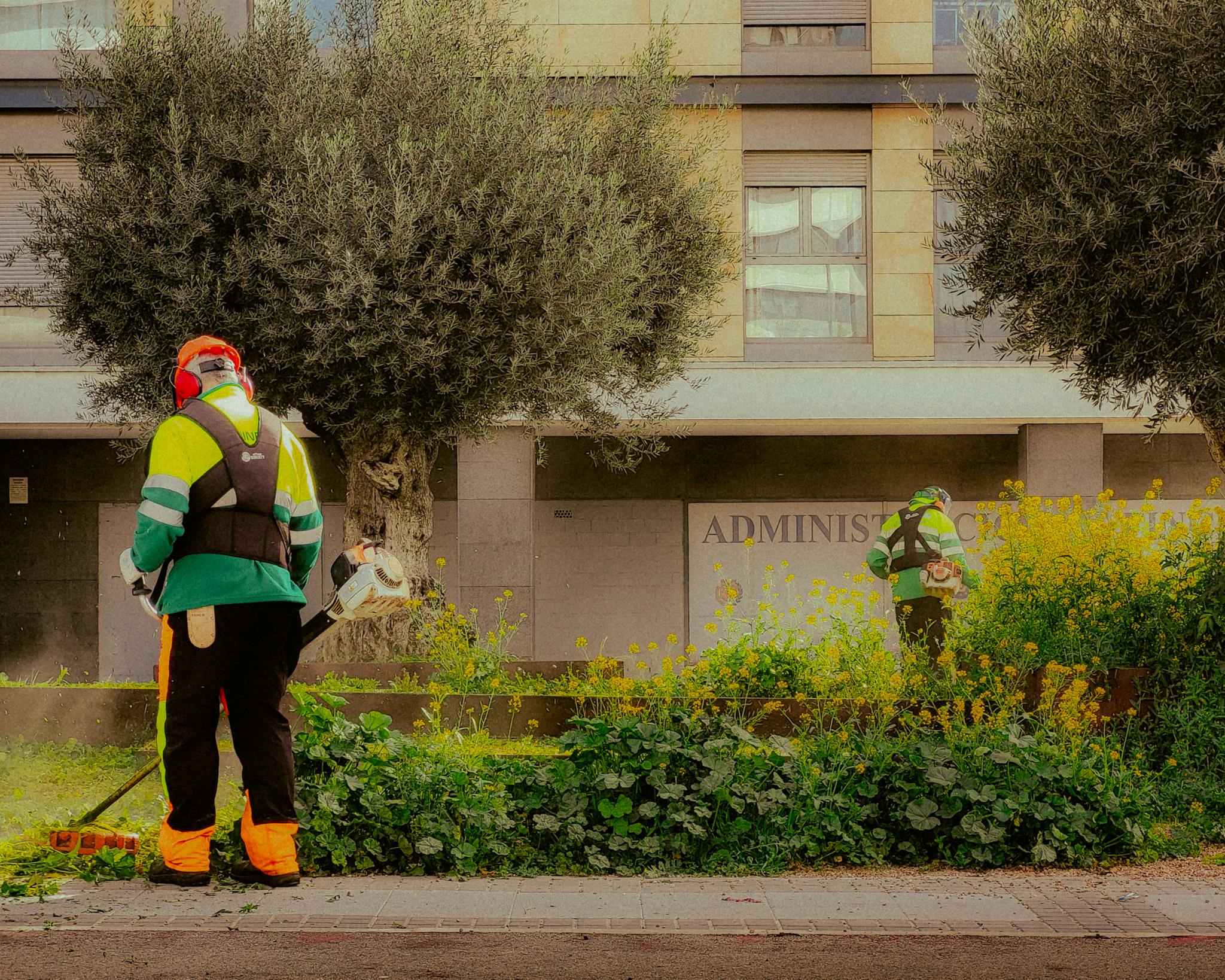 Garden maintenance workers trimming plants in a modern urban setting in Madrid, Spain.